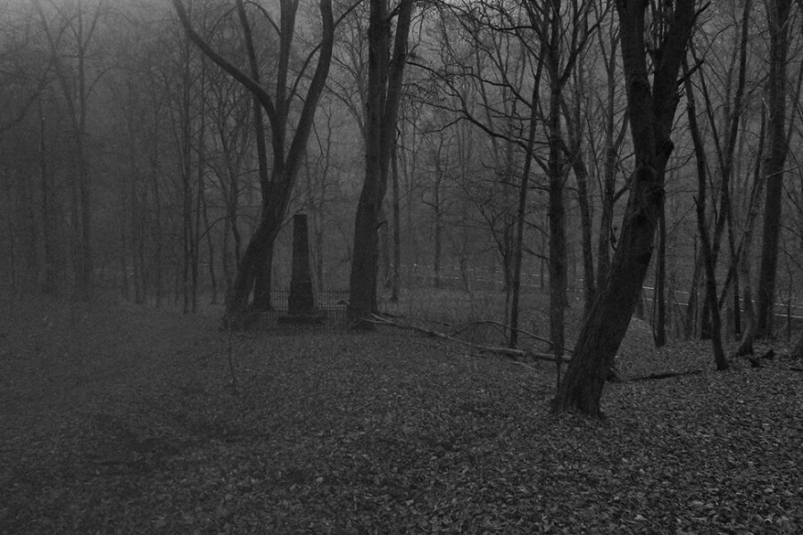 Robert V. Novák, Cesta, 2010